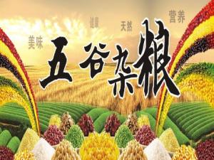 五谷為養(yǎng)：中醫(yī)教你怎么吃五谷雜糧最營養(yǎng)