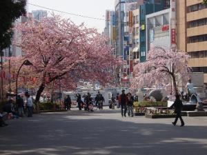 去日本應注意什么商務文化禮儀及忌諱