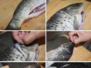 鯉魚去腥線方法：怎樣去除鯉魚腥線？鯉魚腥線在哪