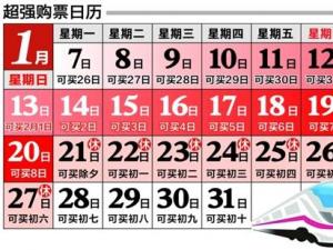 12306搶票軟件業(yè)內稱搶票軟件訂票有風險