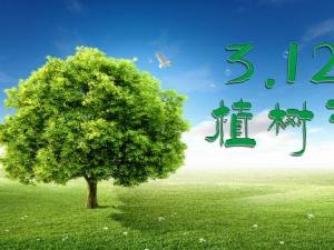 植樹節(jié)是幾月幾日？關(guān)于植樹節(jié)的由來和意義