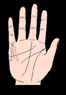 手相財(cái)運(yùn)線，財(cái)運(yùn)線圖解，手相財(cái)運(yùn)線算命圖解