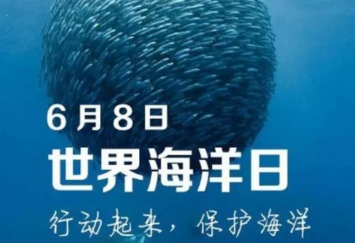 6月8日是什么節(jié)日？世界海洋日是幾月幾日