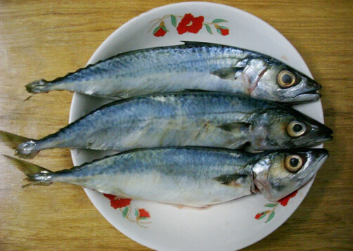 食用青占魚(yú)的注意事項(xiàng)-青占魚(yú)的營(yíng)養(yǎng)價(jià)值