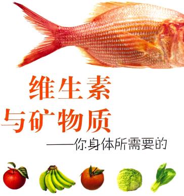 礦物質是什么_礦物質的作用_含礦物質的食物