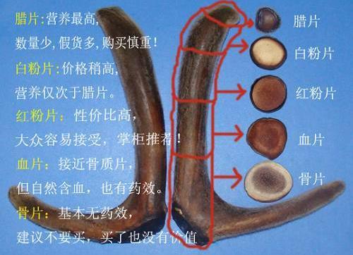 鹿茸片怎么看真假？鹿茸片真假的辨別方法