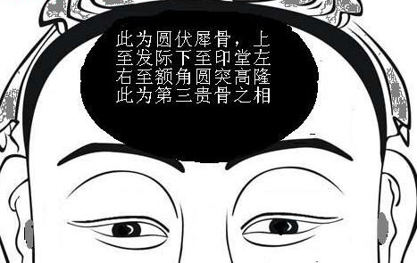 骨相圖解：武庫伏犀骨