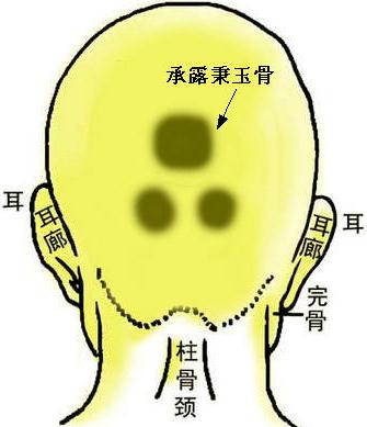 骨相圖解：承露秉玉骨