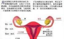 女人必須知道的經(jīng)期秘密 讓你受益無窮