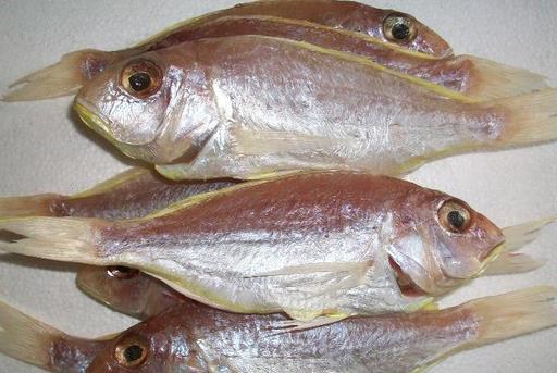 什么是冰鮮食品？如何區(qū)分冰鮮魚和冰凍魚？