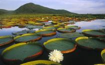 走進白洋淀鴛鴦島民俗文化村