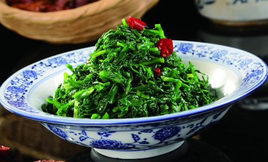 這些野菜能養(yǎng)生你認(rèn)識幾種？