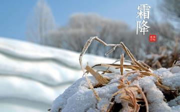 【霜降節(jié)氣】霜降是幾月幾日_霜降吃什么_霜降養(yǎng)生_霜降是什么意思