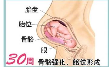 【懷孕30周】懷孕30周癥狀_懷孕30周胎兒變化_媽媽狀態(tài)_懷孕30周注意事項(xiàng)