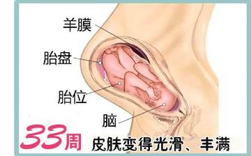 【懷孕33周】懷孕33周發(fā)育指標(biāo)_懷孕33周胎兒變化_媽媽狀態(tài)_懷孕33周注意事項