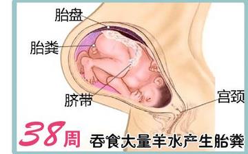 【懷孕38周】懷孕38周發(fā)育指標檢查_懷孕38周胎兒變化_媽媽狀態(tài)_懷孕38周注意事項