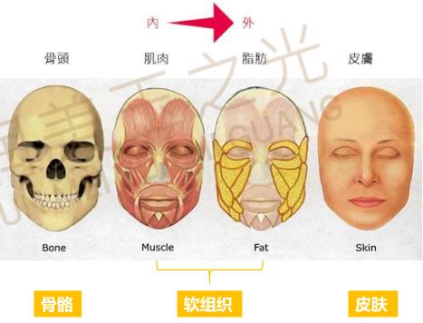 自體多肽脂肪實現(xiàn)新突破，塑造無法復制的自然美