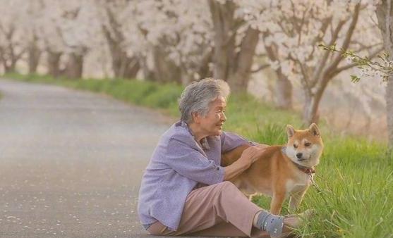 老年人適當進行娛樂活動 更加有助老年人身心健康