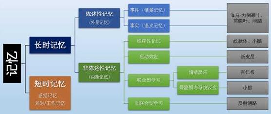 為什么你不記得嬰幼兒時(shí)期發(fā)生的事情？記憶會(huì)一直保留到離開人世嗎